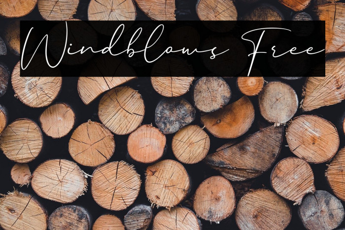 Windblows Free Example 3