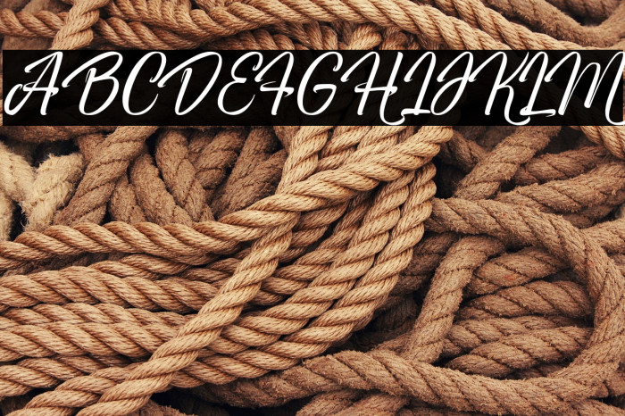 Windey Signature personal use Example 3