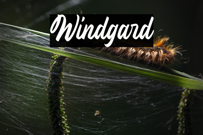 Windgard Example 1