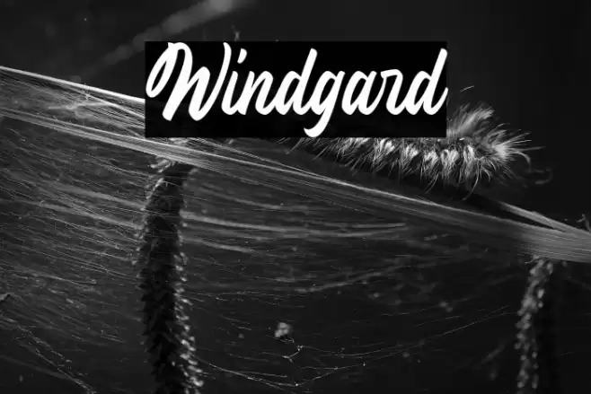 Windgard Font examples
