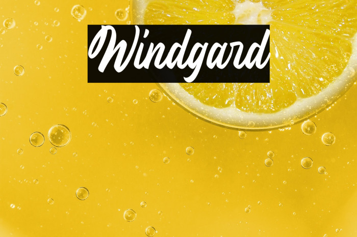 Windgard Example 2
