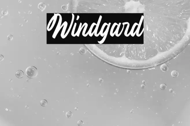 Windgard Font examples