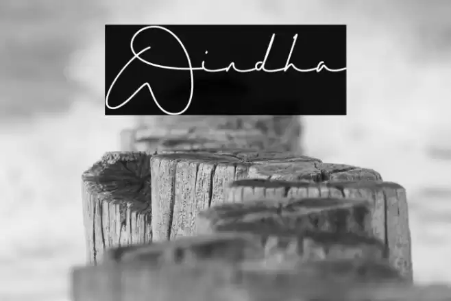 Windha Font examples