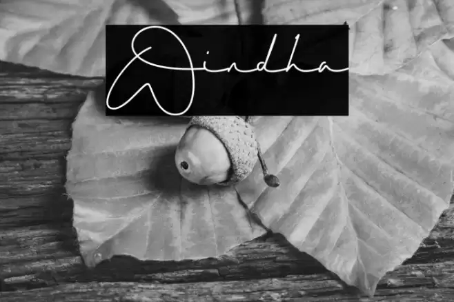 Windha Font examples