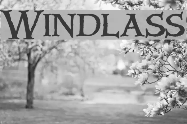 Windlass Font examples
