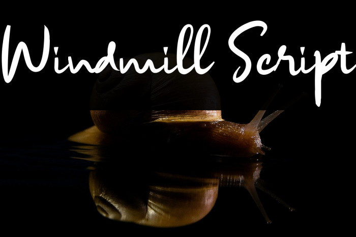 Windmill Script Example 2