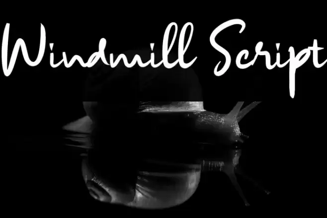 Windmill Script Font examples