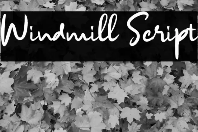 Windmill Script Font examples