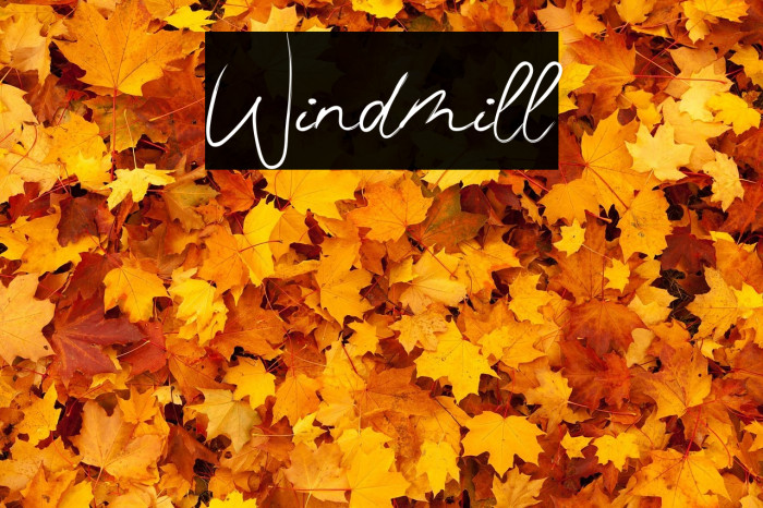 Windmill Fonte examples