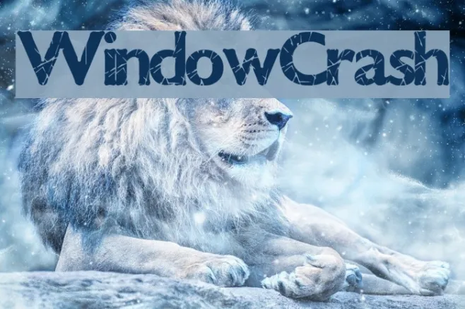 WindowCrash Example 1