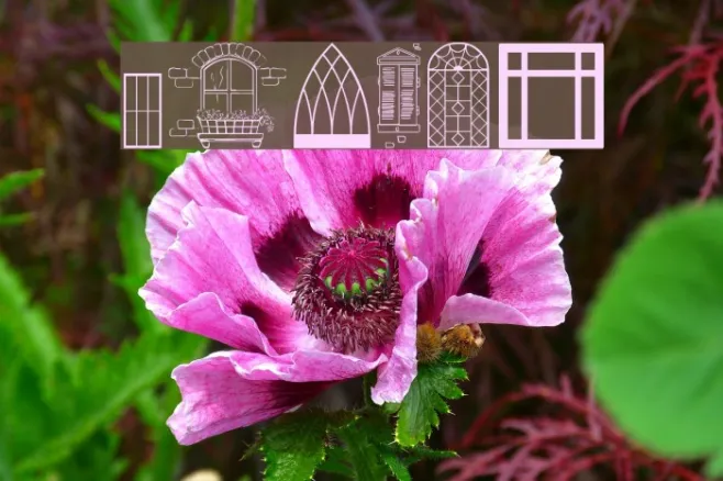 Window Example 1