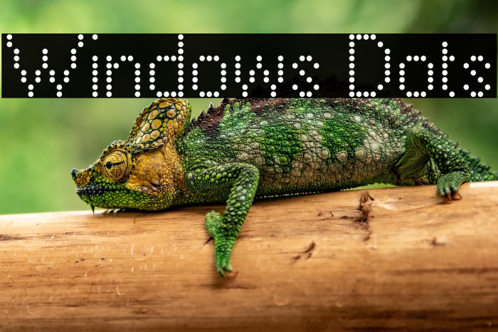 Windows Dots Example 3