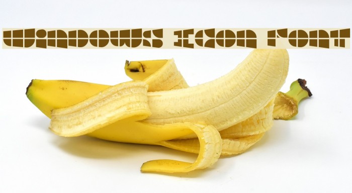 Windows Icon Font Example 3