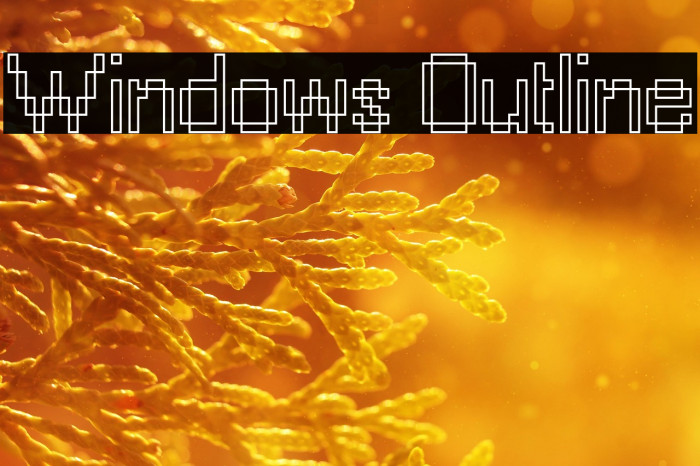 Windows Outline Example 1