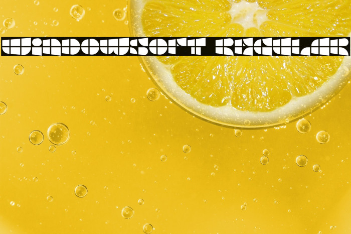 Windowsoft Regular Example 1