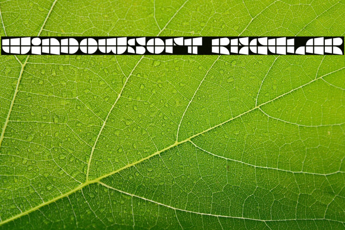 Windowsoft Regular Example 3