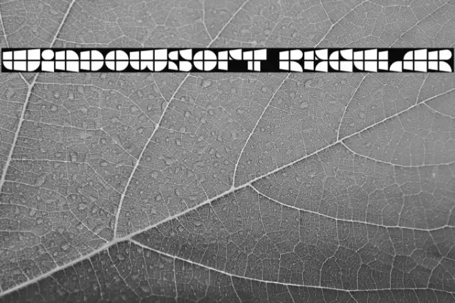 Windowsoft Regular Font examples