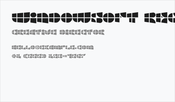 Windowsoft Regular Business Card