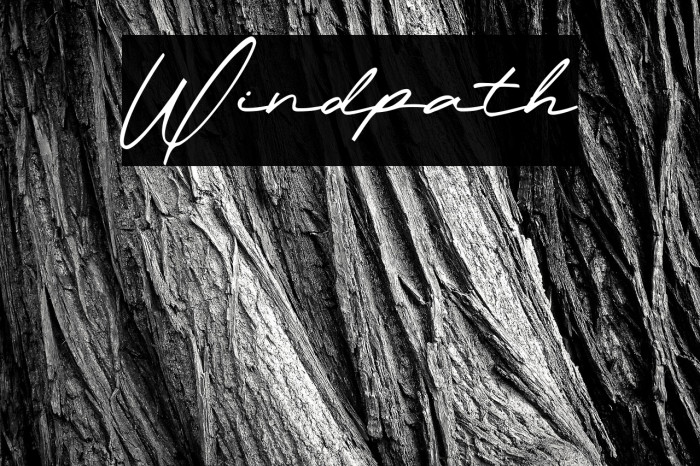 Windpath Example 2