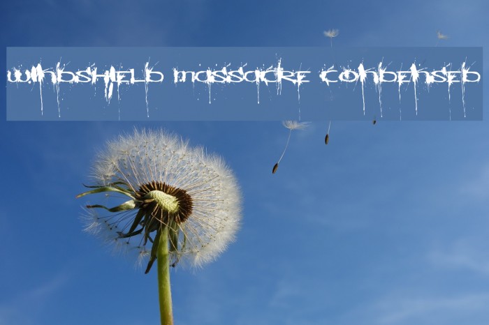 Windshield Massacre Condensed Example 1