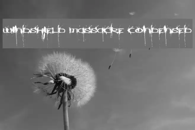 Windshield Massacre Condensed Font examples
