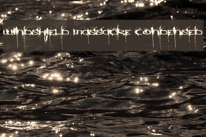 Windshield Massacre Condensed Example 2