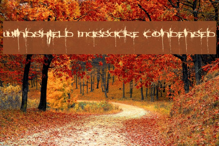 Windshield Massacre Condensed Example 3