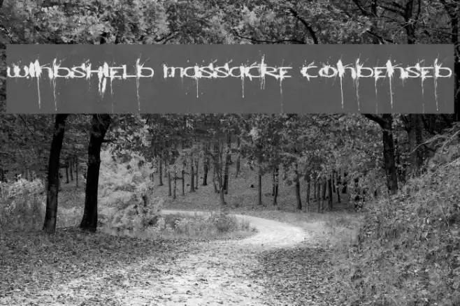 Windshield Massacre Condensed Font examples