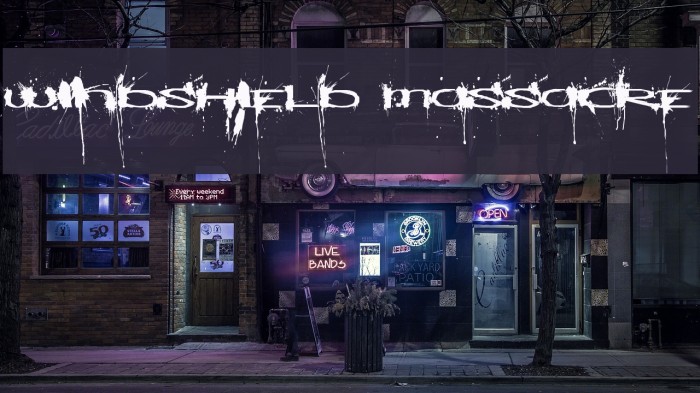 Windshield Massacre Font examples