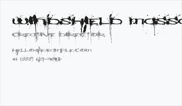 Windshield Massacre Business Card