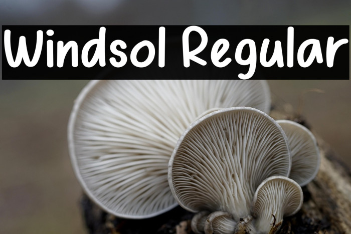 Windsol Regular Example 1