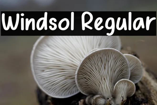 Windsol Regular Example 1