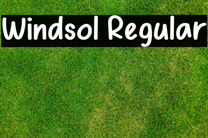 Windsol Regular Example 2