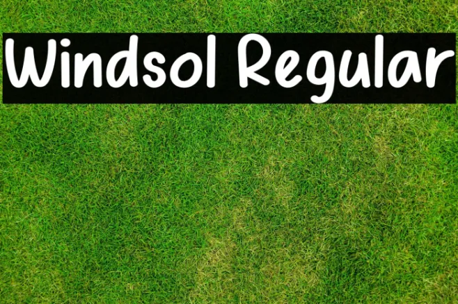 Windsol Regular Example 2