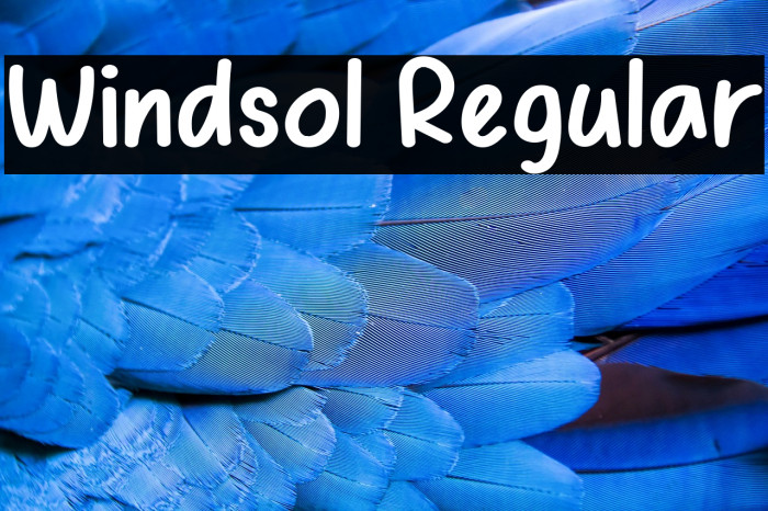 Windsol Regular Example 3