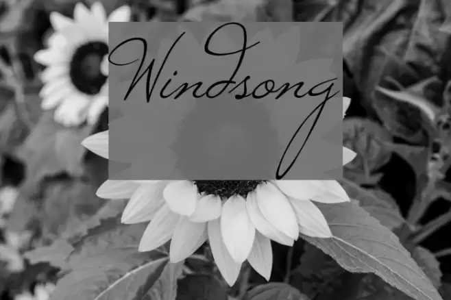 Windsong Font examples