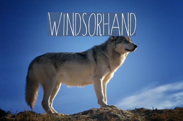 Windsor-Hand Font examples