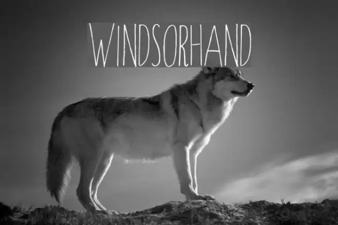 Windsor-Hand Font examples