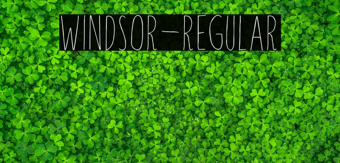 Windsor-Regular Example 1