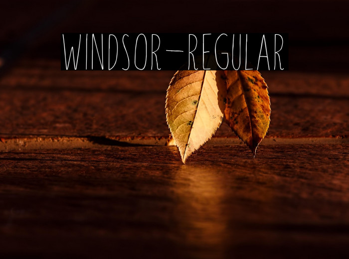 Windsor-Regular Example 3
