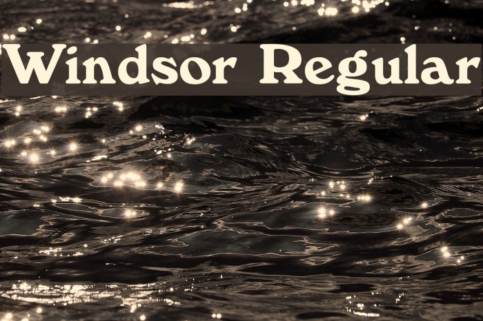 Windsor Regular Example 3