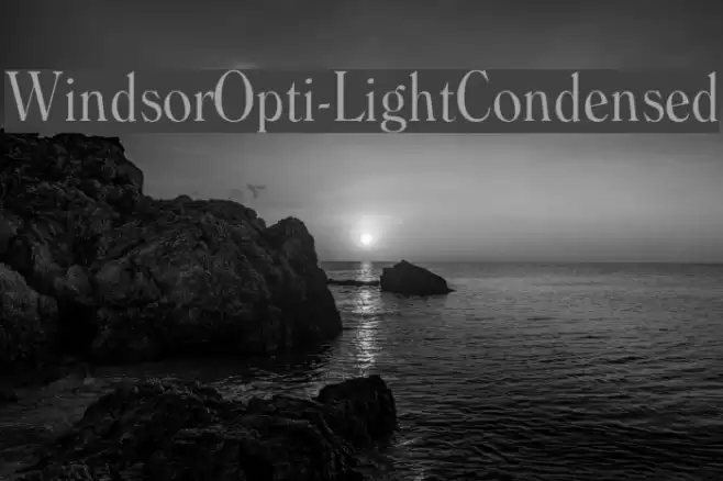 WindsorOpti-LightCondensed Font examples