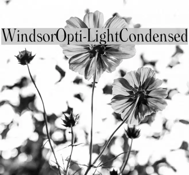 WindsorOpti-LightCondensed Font examples
