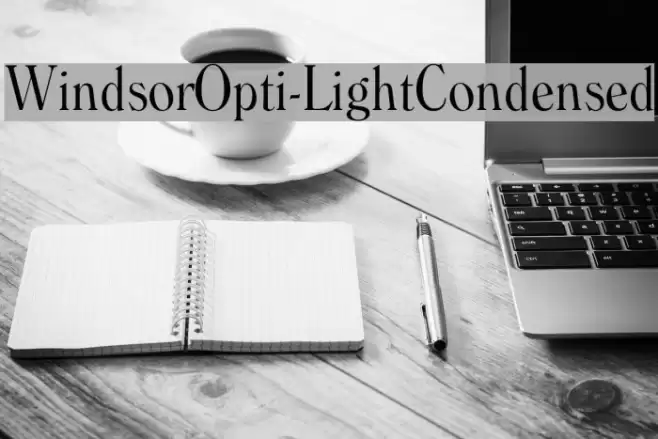 WindsorOpti-LightCondensed Font examples