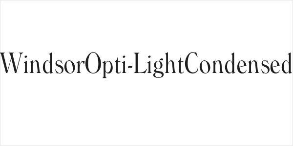 WindsorOpti-LightCondensed Logo