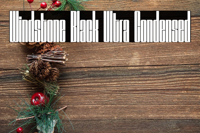 Windstone Black Ultra Condensed Example 3