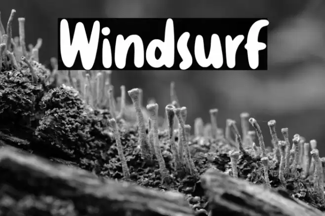Windsurf Font examples