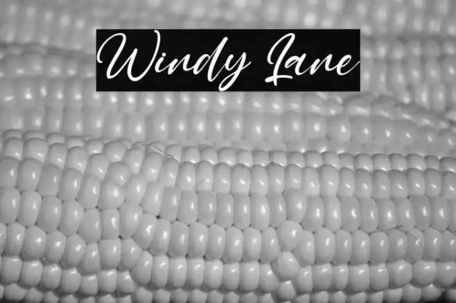 Windy Lane Font examples