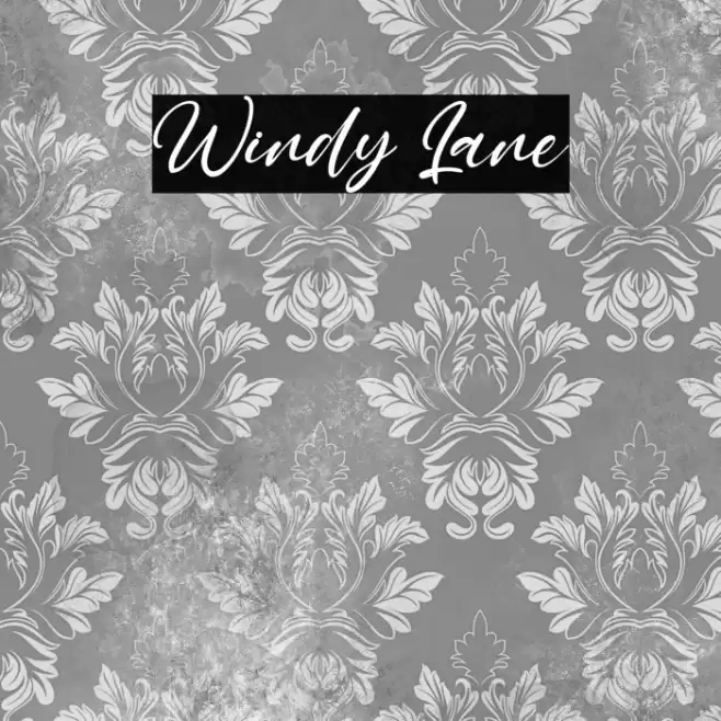 Windy Lane Font examples