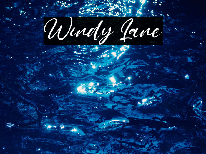 Windy Lane Example 3